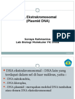 Plasmid DNA