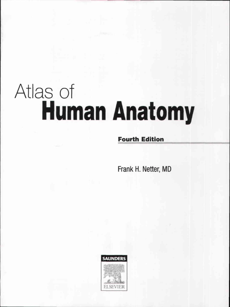 Atlas Human Anatomy Ciba Netter