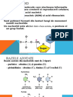 acizi-nucleici
