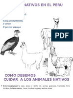 Animales Nativos en El Peru