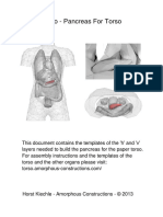 A 4 Pancreas For Torso