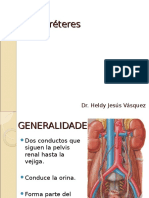 Ureter Es