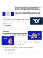 Conferencia 3 PDF