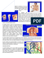 Conferencia 4.pdf