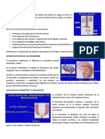 Conferencia 8 PDF
