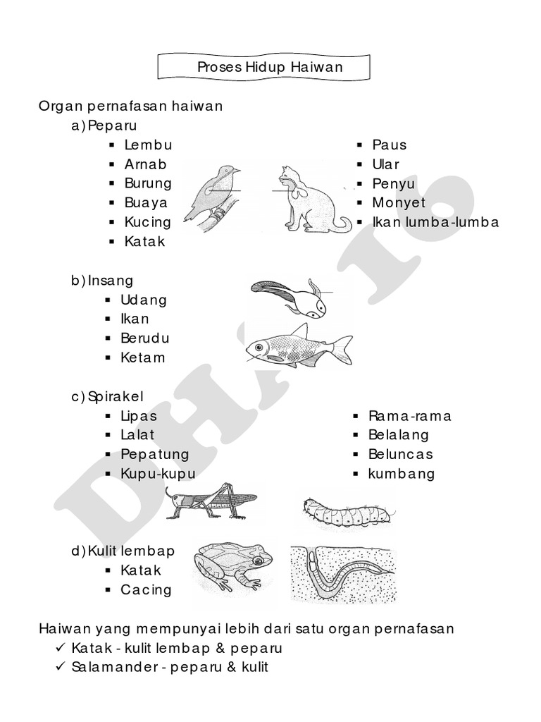 Proses Hidup Haiwan Pdf