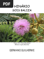 Germano Guilherme - Sois Baliza