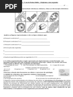 Exercícios - Citoplasma e Suas Organelas