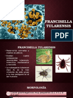 Francisella Tularensis