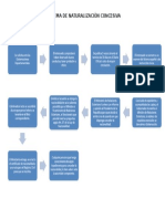 Esquema de Naturalización Concesiva