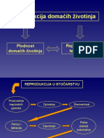 Reprodukcija Domacih Zivotinja