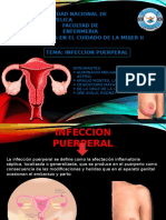 Infeccion Puerperal Exposicion