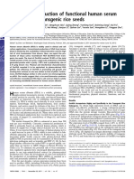 Large-Scale of Production of Functional Human Serum Albumin From Transgenic Rice Seeds