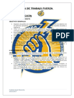 Plan Fuerza Electricista (Proyeccion 2016-2017).