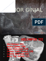 Tumor Ginjal DR - Rifmi Utami