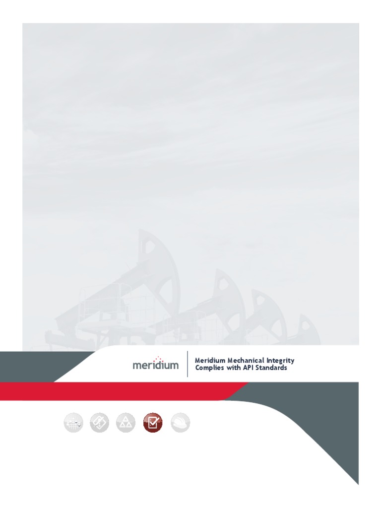 Meridium RBI Compliance with API Standards | PDF | Application ...