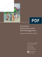 Primer11 Insurance Governance Risk Mangement PDF