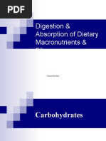 Digestion & Absorption of Dietary Macronutrients & Fibre: Hanadi Baeissa