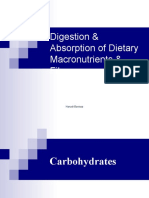 Digestion & Absorption of Dietary Macronutrients & Fibre: Hanadi Baeissa