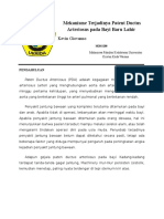 PBL Blok 19-Mekanisme Terjadinya Patent Ductus Arteriosus Pada Bayi Baru Lahir