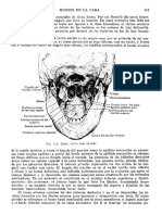 Tratado de Anatomia Humana Quiroz Tomo I - 125