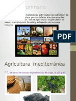 Agricultura  mediterránea