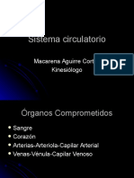 Sistema Circulatorio