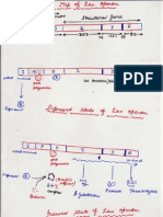 Lac Operon