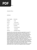 Download Ciri Aspergillus Flavus by Ditya Mahendra SN310255110 doc pdf