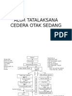 Alur Tatalaksana Cedera Otak Sedang