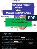 Fungsi Ginjal udh drubah.ppt