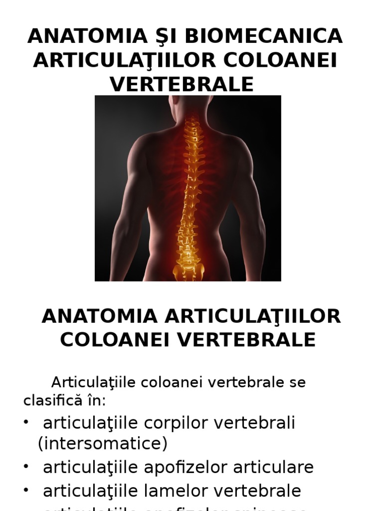 articulațiilor și coloanei vertebrale