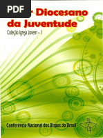 Setor Diocesano Da Juventude