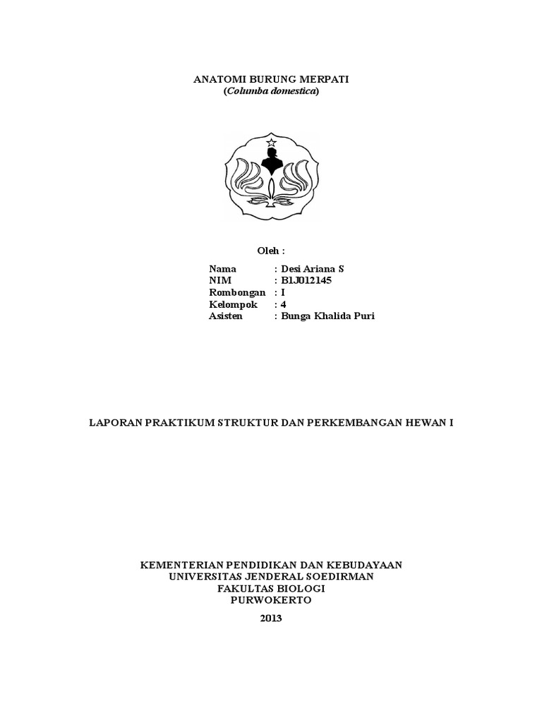 Anatomi Burung Merpati Ai