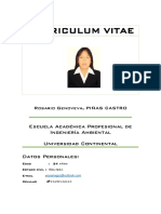 Curriculum Vitae - Rosario Piñas