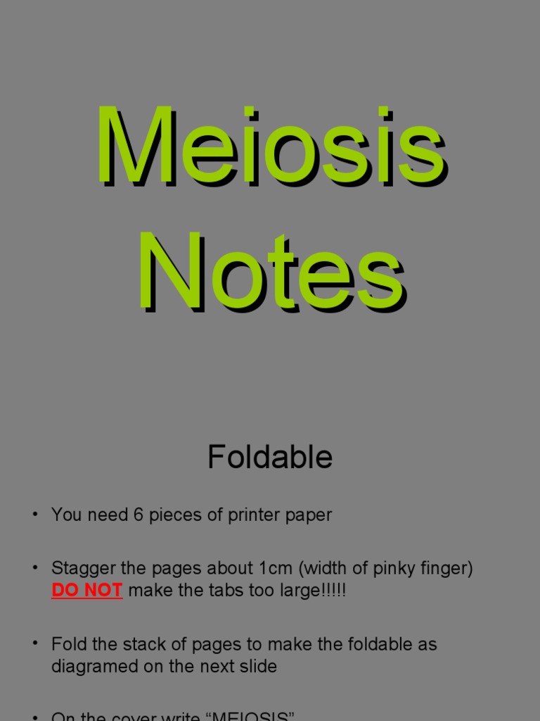 Meiosis Foldable | PDF | Meiosis | Ploidy