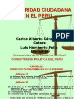 Seguridad ciudadana Perú