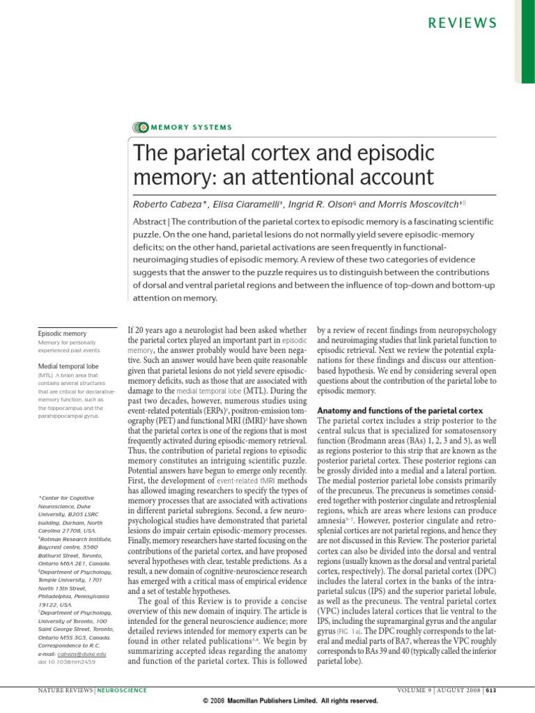 The Parietal Cortex and Episodic | PDF