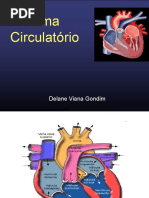 Sistema circulatório.ppt