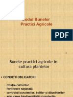  Codul Bunelor Practici
