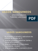 Vasos Sanguineos