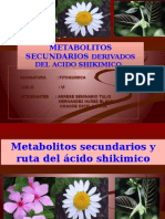 Fitoquimica Metabolitos