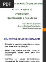 CAP 13 - REVISADO - Comportamento Organizacional.ppt