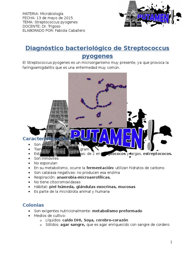 Streptococcus Pyogenes | PDF | Estreptococo | Patologia clinica