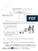 FA2 - 2.º Período 15-16 Sistema Reprodutor