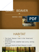 Giant Beaver