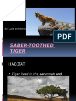 tiger2