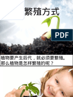 植物的繁殖法.ppt