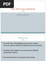 Download Nervous System Ch 251 by thegedus SN31036465 doc pdf