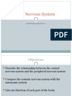 Nervous System Ch 25.1